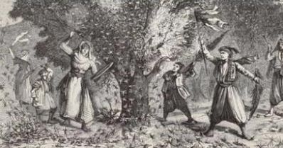 Grabado antiguo de una plaga de langosta